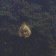 , 46