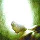 Mihail, 36 (2 , 0 )