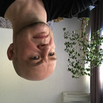 , 44 (2 , 0 )