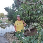 , 58 (11 , 0 )
