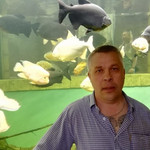 , 57 (1 , 0 )
