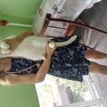 , 53 (2 , 0 )
