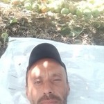 Roman, 44