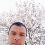 , 37 (1 , 0 )